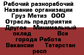 Рабочий-разнорабочий › Название организации ­ Груз-Метиз, ООО › Отрасль предприятия ­ Другое › Минимальный оклад ­ 25 000 - Все города Работа » Вакансии   . Татарстан респ.